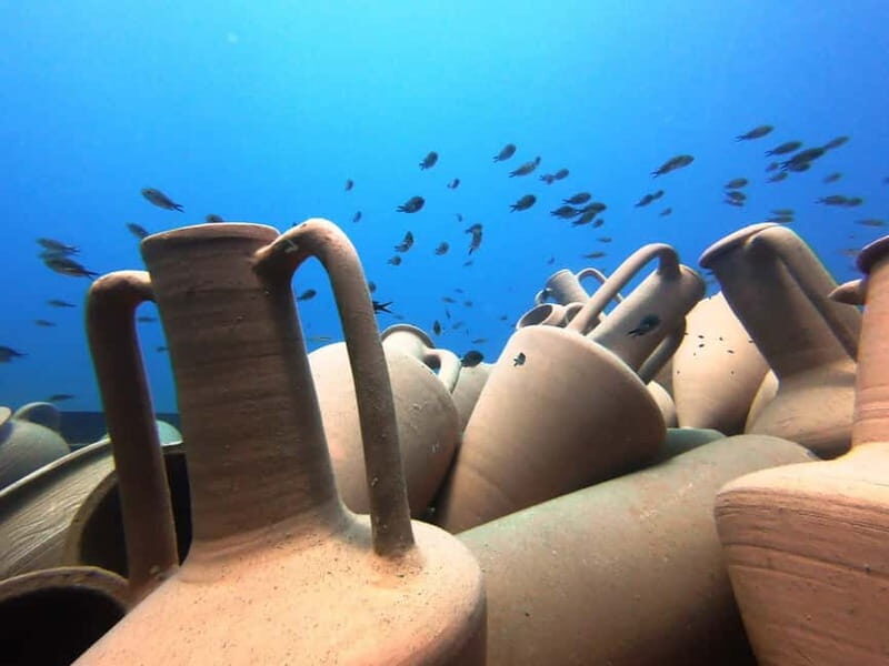 FROM PAPHOS: Snorkeling at the Marine Park (shore) - What to Expect from the Snorkeling Tour