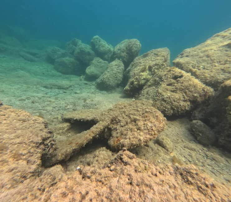 FROM PAPHOS: Snorkeling at the Marine Park (shore) - FAQ