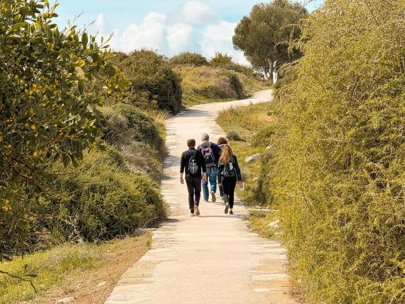 From Paphos: Trip to Limassol with Kourion & Kolossi Castle - An In-Depth Look at the Tour Experience