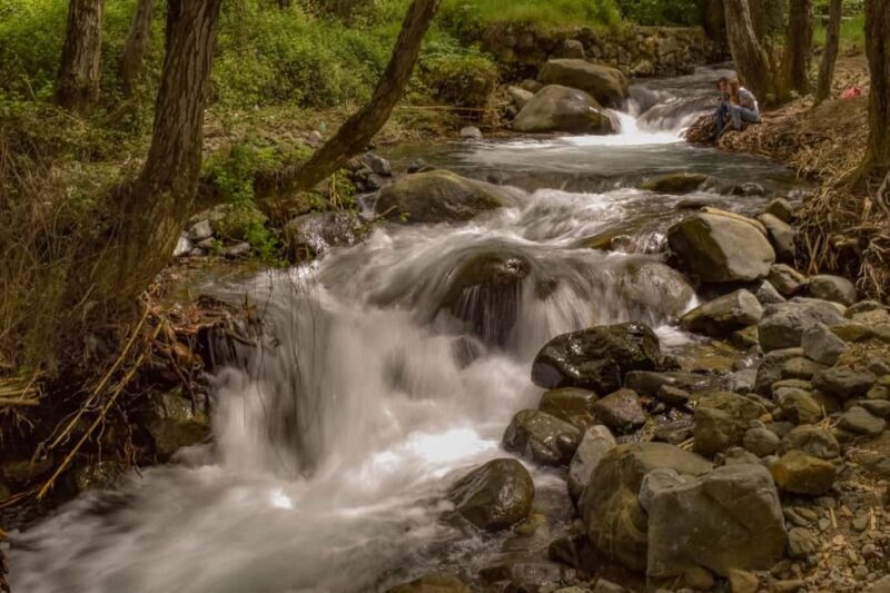 From Paphos: Troodos Jeep Safari - What’s on Offer in the Troodos Jeep Safari?