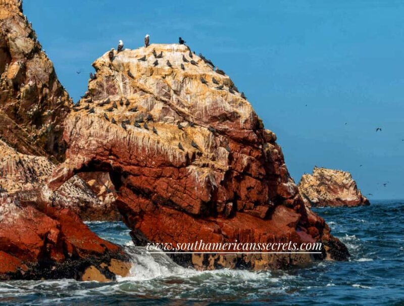 From Paracas: Ballestas Islands tour all Inclusive - A Closer Look at the Experience