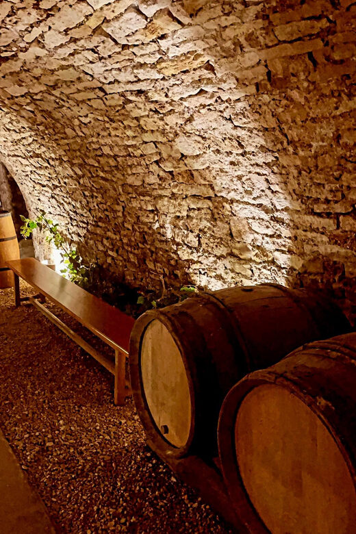 From Paris: Champagne, gastronomy and culture - The Experience: A Closer Look