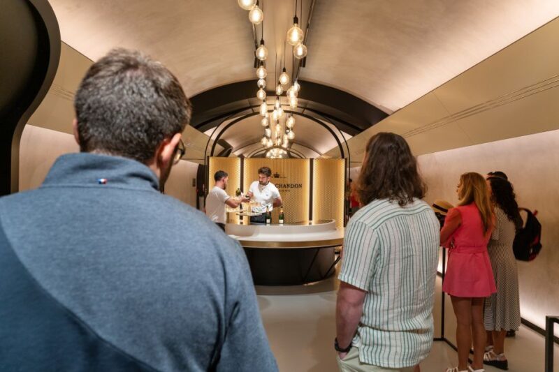 From Paris: Day Trip to Champagne with 8 Tastings & Lunch - Who Should Consider This Tour?