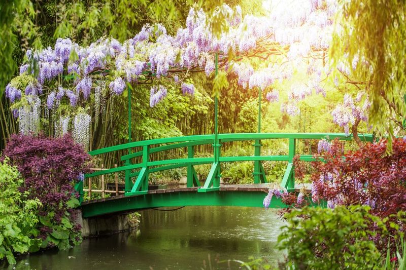 From Paris: Giverny and Versailles Palace Guided Day Trip - Transfer to Versailles: expect a reset, but don’t count on a stop