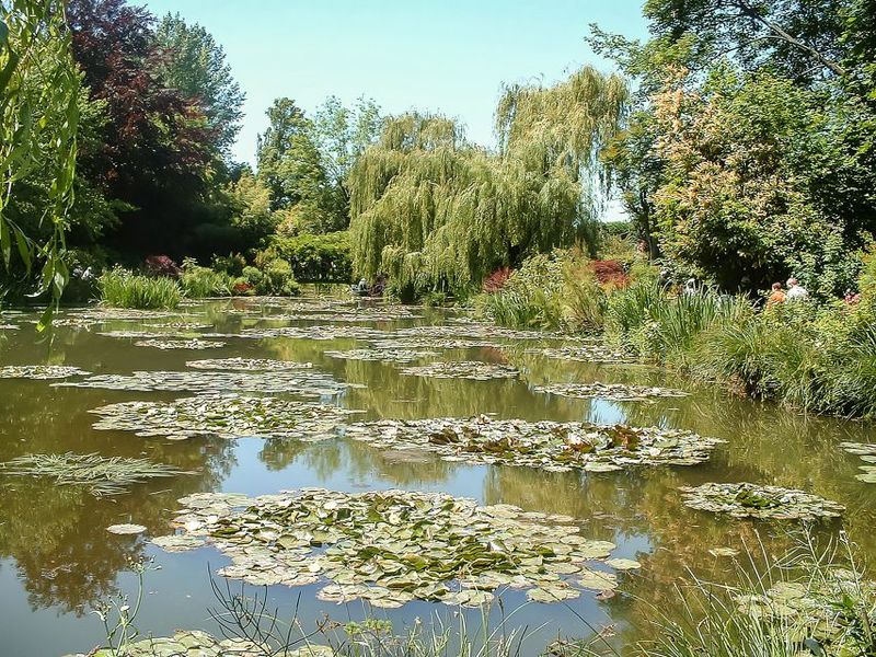 From Paris: Giverny Day Trip with Audio Guide or Live Guide - The Water Garden: Weeping Willows and Lilies Up Close