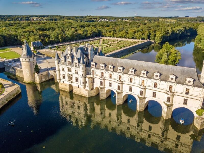 From Paris: Loire Valley Castles Day Trip With Wine Tasting - Review Highlights & Practical Tips
