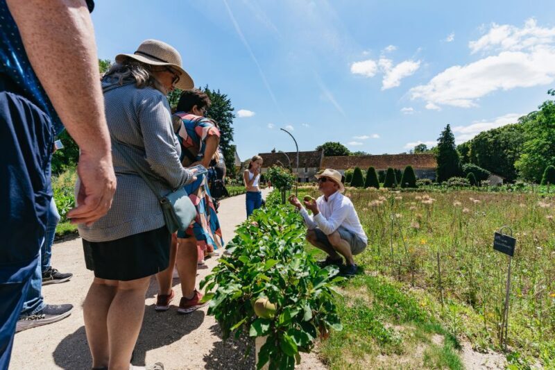 From Paris: Loire Valley Castles Day Trip With Wine Tasting - Who is This Tour Best For?