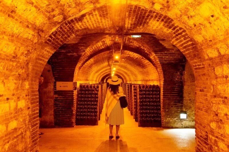 From Paris: Prestige Champagne Tour and Tastings - Who Will Love This Tour?