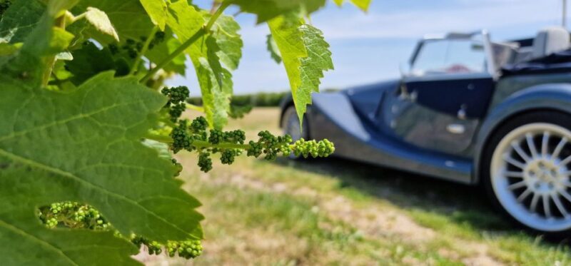 From Paris: Prestige Champagne Tour and Tastings - FAQ