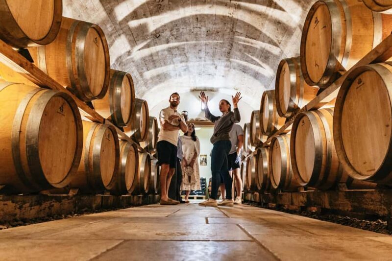 From Paris: Private Sancerre Wine Tour w 10 Tastings & Lunch - Authentic Feedback from Past Guests