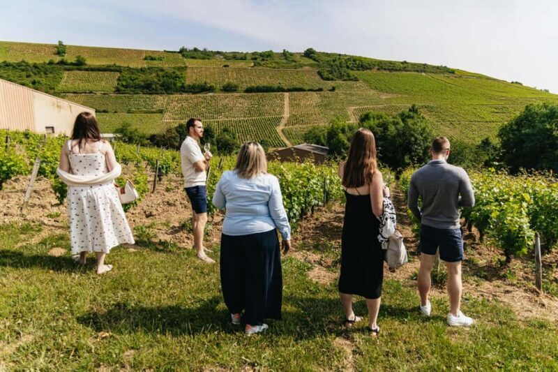 From Paris: Private Sancerre Wine Tour w 10 Tastings & Lunch - FAQ