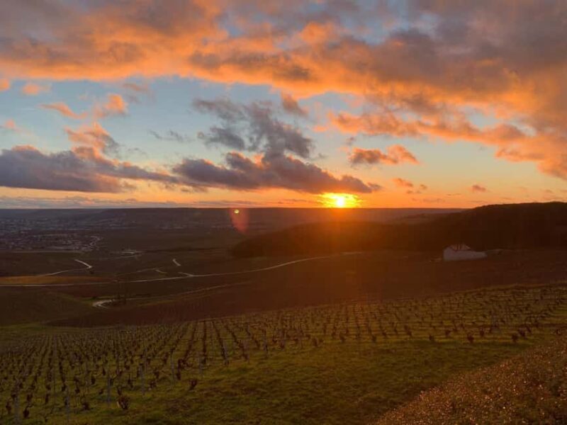 From Paris: Reims Cathedral, Champagne Cellar, and Tasting - Our Take