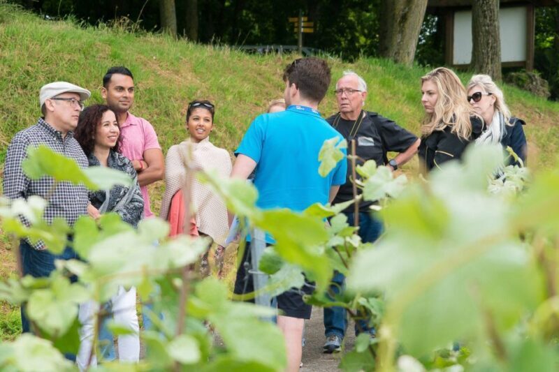 From Paris: Small-Group Champagne Day Trip with Six Tastings - Who Will Love This Tour?