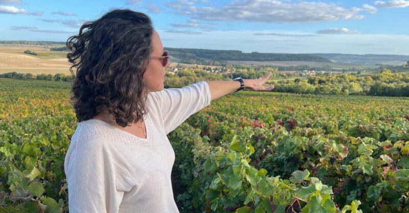 From Paris: Wine Day trip to SANCERRE w 10 Tastings & Lunch - An In-Depth Look at the Sancerre Day Trip