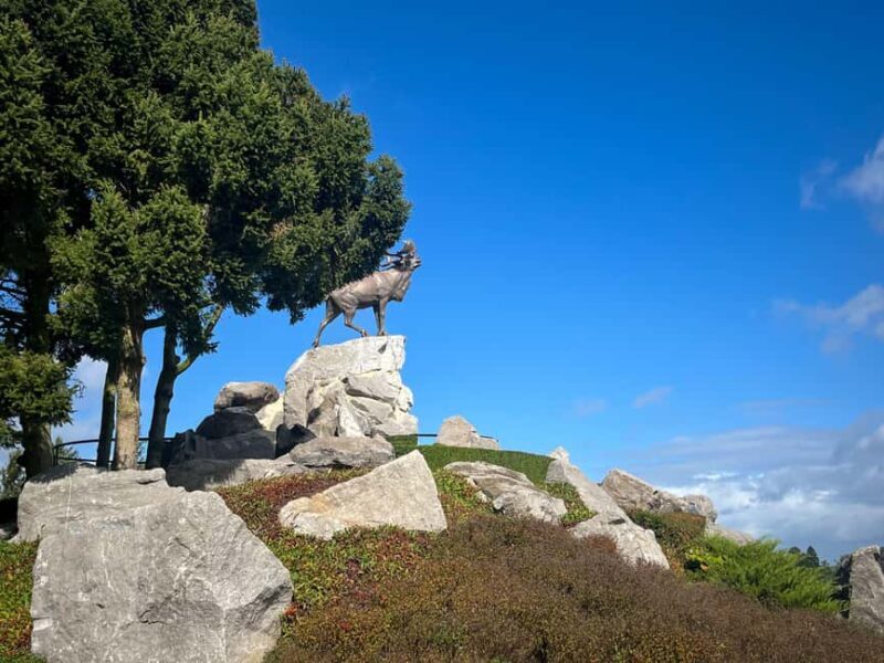 From Paris : WWI Somme Battlefields with Licensed Guide - What You Get for Your Money