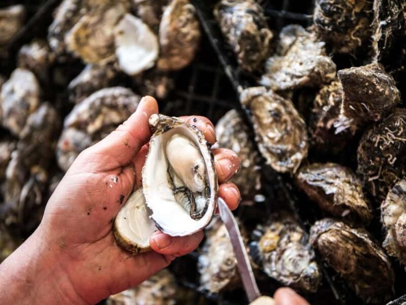 From Penneshaw - A Tasting Of Kangaroo Island - FAQ