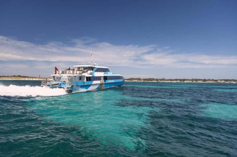 From Perth or Fremantle: Rottnest Island Ferry and Bus Tour - Key Points