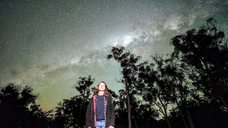 From Perth: Perth Wildlife Tour Under the Stars with Dinner - Key Points