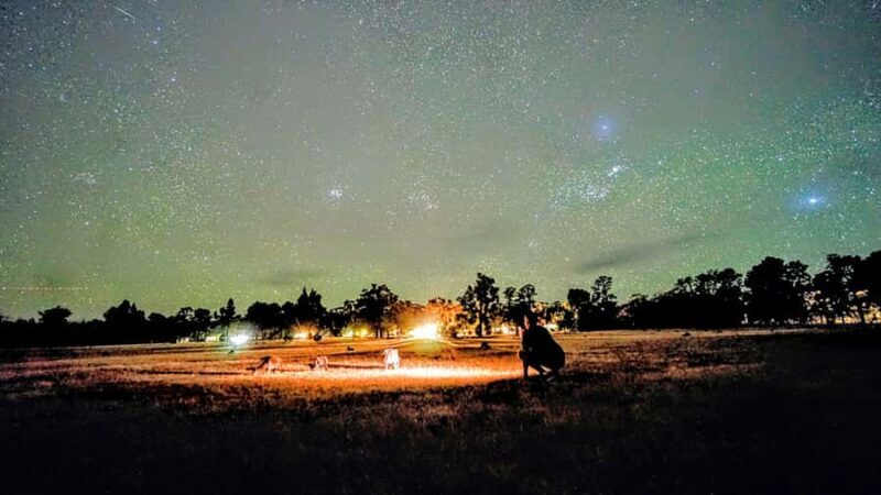 From Perth: Perth Wildlife Tour Under the Stars with Dinner - FAQ