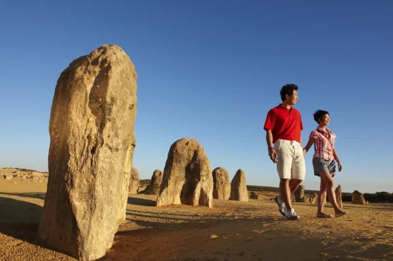 From Perth: Pinnacles Desert, Yanchep & Swan Valley Day Tour - An Overview of the Day