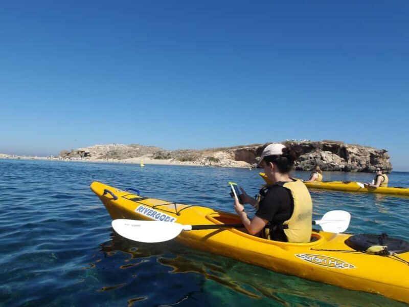 From Perth: Rockingham Seal & Penguin Islands Sea Kayak Tour - Key Points