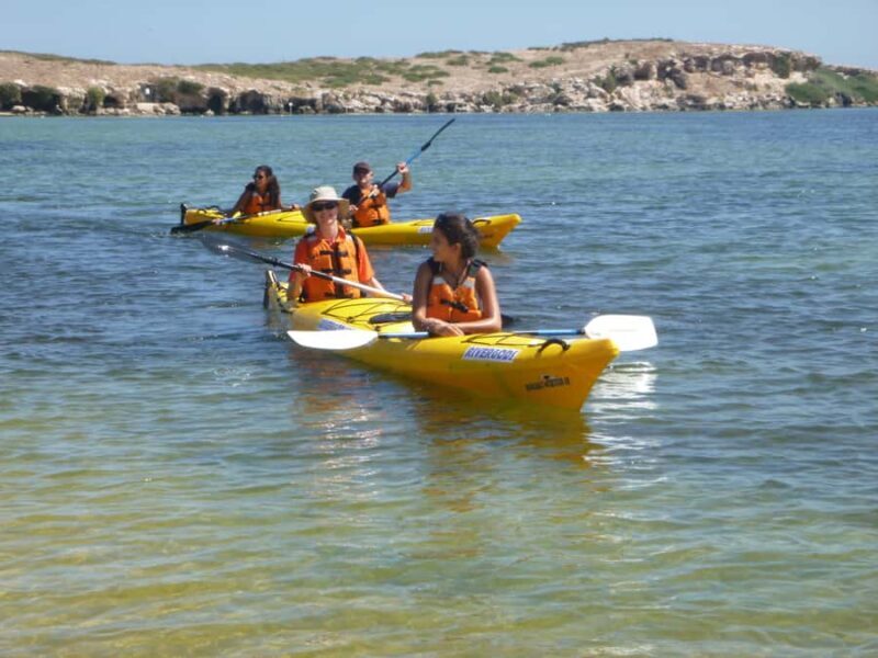 From Perth: Rockingham Seal & Penguin Islands Sea Kayak Tour - Final Thoughts