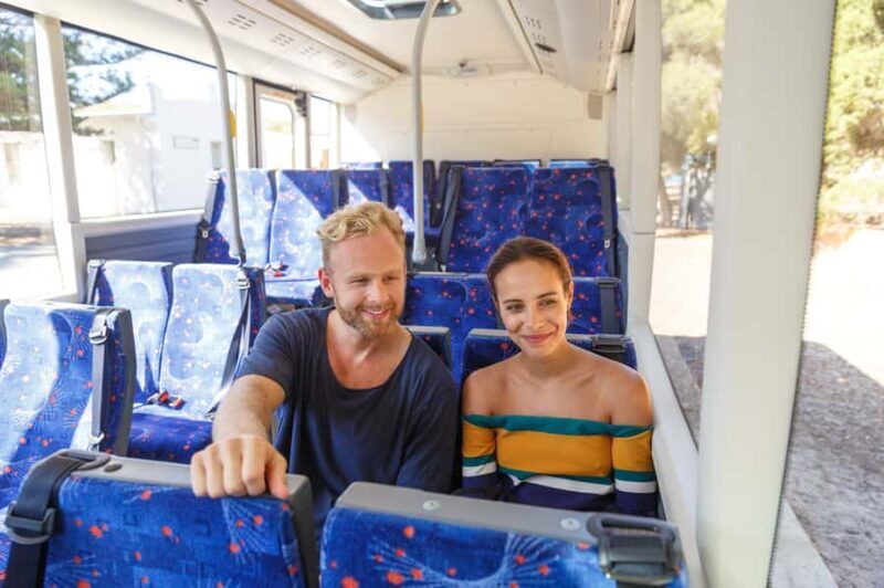 From Perth: Rottnest Island Ferry & Bus Day Tour - An Overview of the Experience