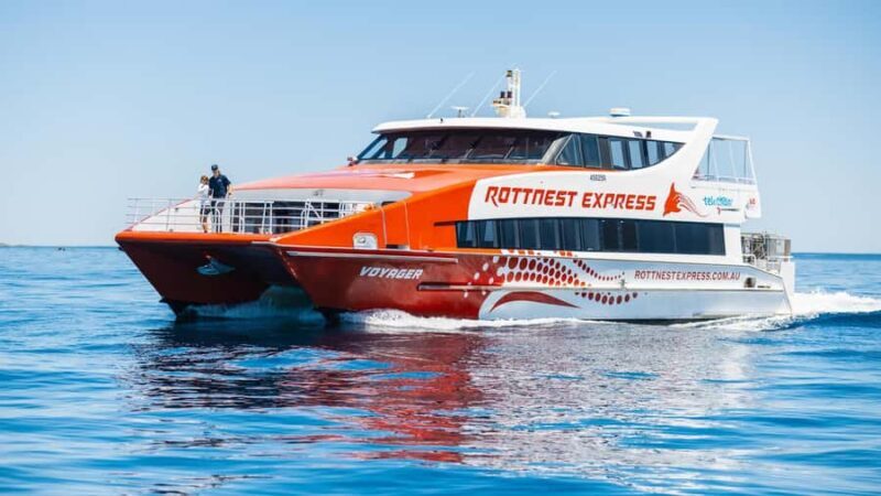 From Perth: Rottnest Island Ferry & Bus Day Tour - The Return Journey and Practicalities