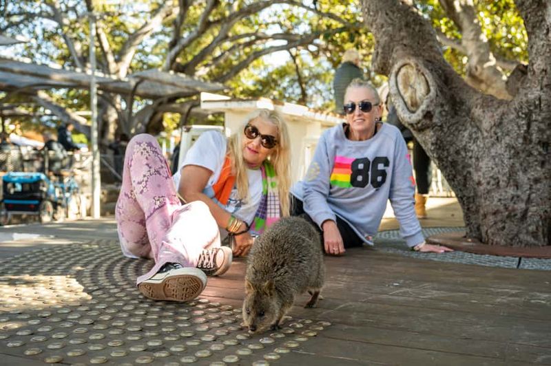 From Perth: Rottnest Island Full-Day Bike and Ferry Trip - Quokkas: Cute, Confident, and Sometimes Too Brave