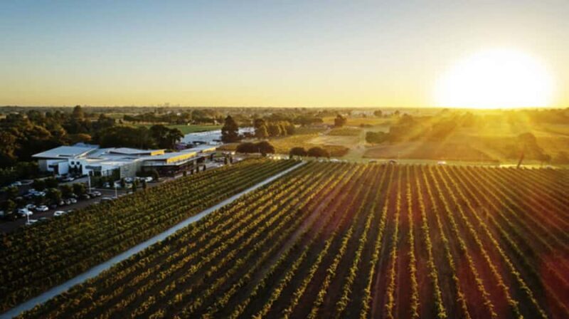 From Perth: Swan Valley Cruise, Winery, Cheese & Lunch - The Day Unpacked: What to Expect