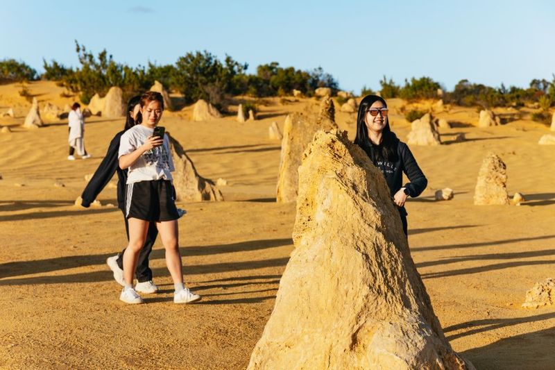 Pinnacles Desert: Sunset BBQ & Stargazing Tour +Sandboarding - Stargazing with telescopes and astro binoculars: where the guide makes the difference