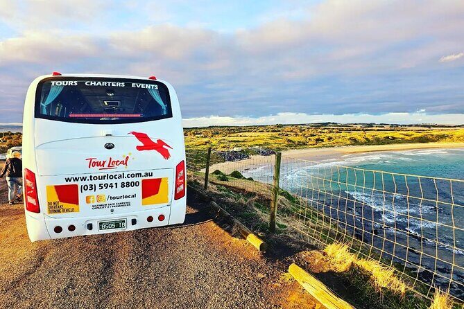 From Phillip Island: Wine and Wildlife Tour with Penguin Parade - A Genuine Look at the Phillip Island Wine and Wildlife Tour with Penguin Parade