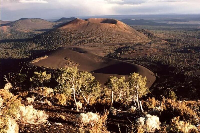 From Phoenix: Private Custom Flagstaff Day Tour - A Practical Look at the Private Custom Flagstaff Day Tour from Phoenix