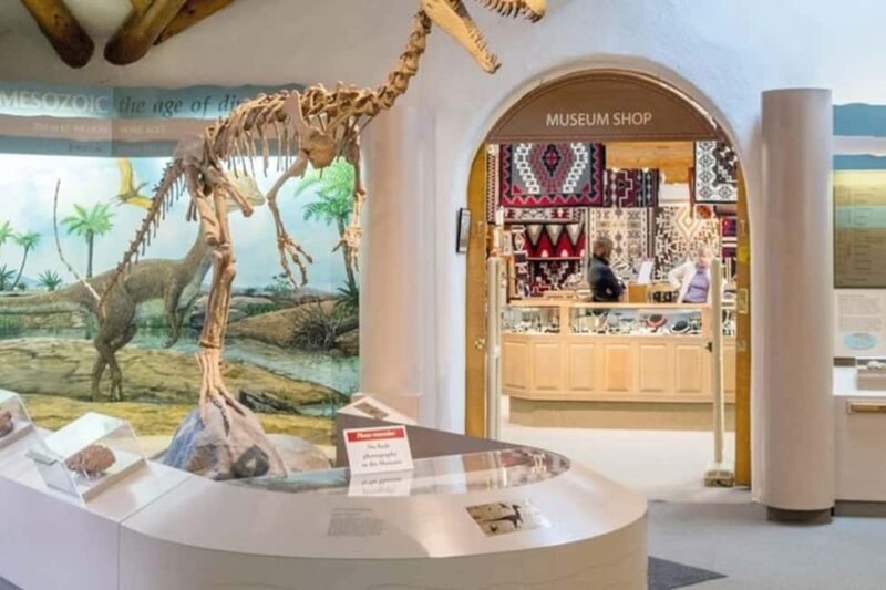 From Phoenix: Private Custom Flagstaff Day Tour - The Experience: What Travelers Say