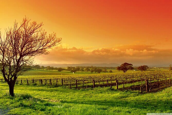 From Phoenix Private Vortex to Vineyard Tour - What’s Included and What’s Not