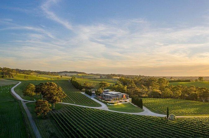 From Phoenix Private Vortex to Vineyard Tour - Practical Details and Considerations