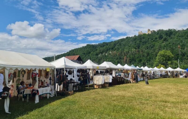 From Piatra Neam: Neam Citadel and Târgu Neam Guided Tour - Key Points