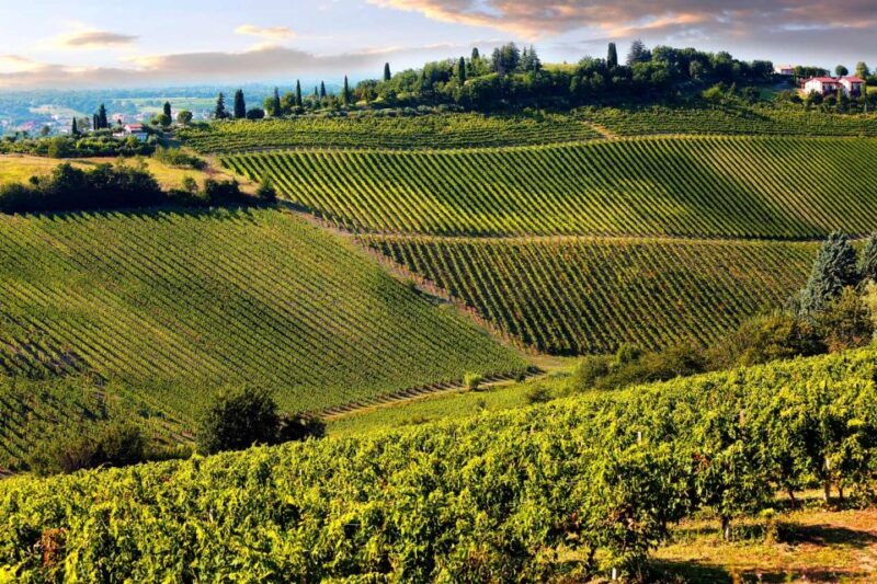 From Pisa or Lucca: Half-Day Tuscany Chianti Wine Tasting - FAQs