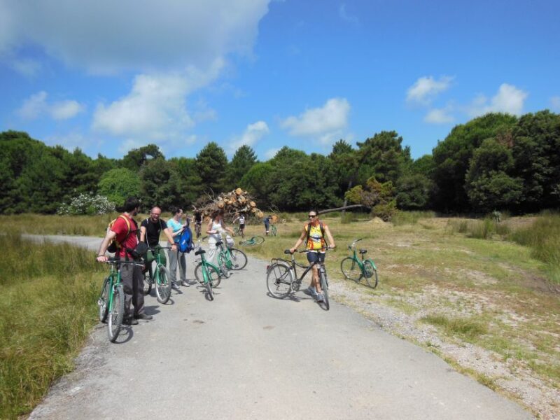 From Pisa to Lucca along Puccini cycling path - Who Should Consider This Tour?