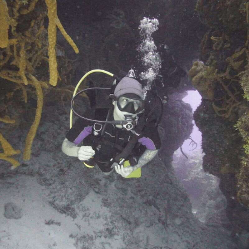 From Playa del Carmen: Cozumel Diving Adventure - What Is This Tour All About?