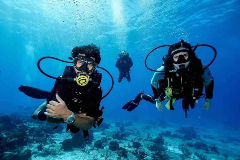 From Playa del Carmen: Cozumel Diving Adventure - Who Should Consider This Tour?