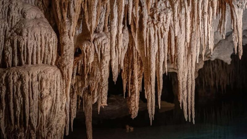 From Playa del Carmen or Tulum: Rio Sagrado Experience - An Overview of the Rio Sagrado Experience