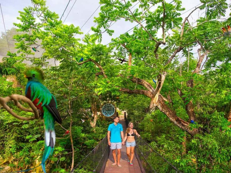 From Playa del Carmen: Xcaret Park All-Inclusive - FAQ