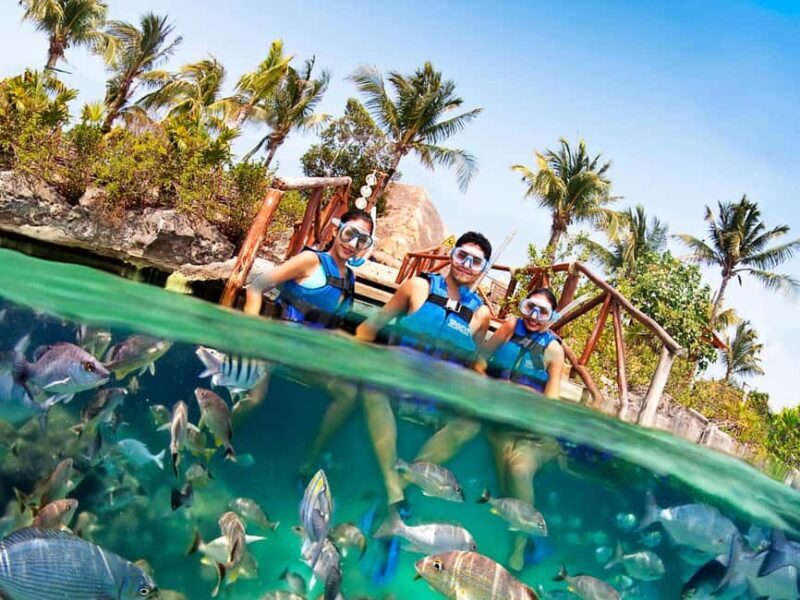 From Playa del Carmen: Xel-Há All-Inclusive Park - FAQ