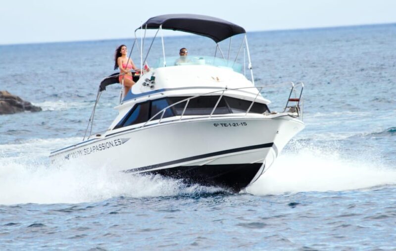 From Playa San Juan: Whale Watching, Gigantes, and Masca Bay - Who Is This Tour Best For?