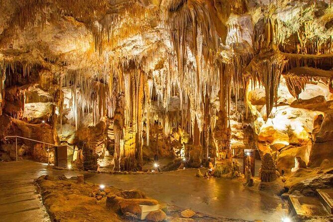 From Polignano - Cave Tour Between Land and Sea - Key Points