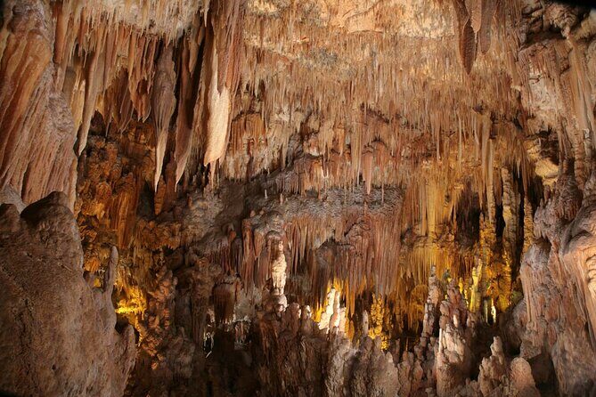 From Polignano - Cave Tour Between Land and Sea - A Deep Dive into the Experience