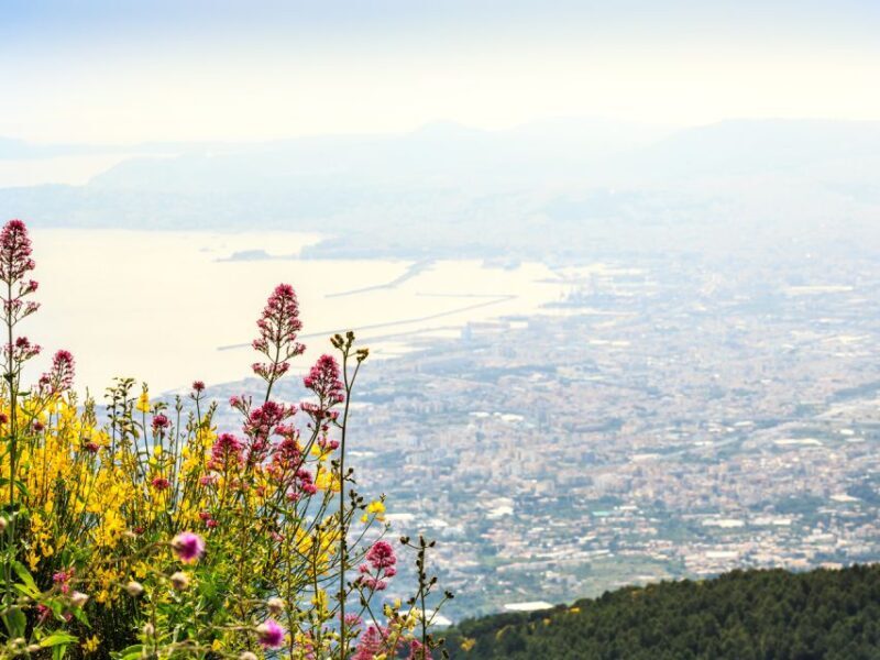 From Pompeii: Bus Transfer to Vesuvius with Park Entry Fee - Key Points