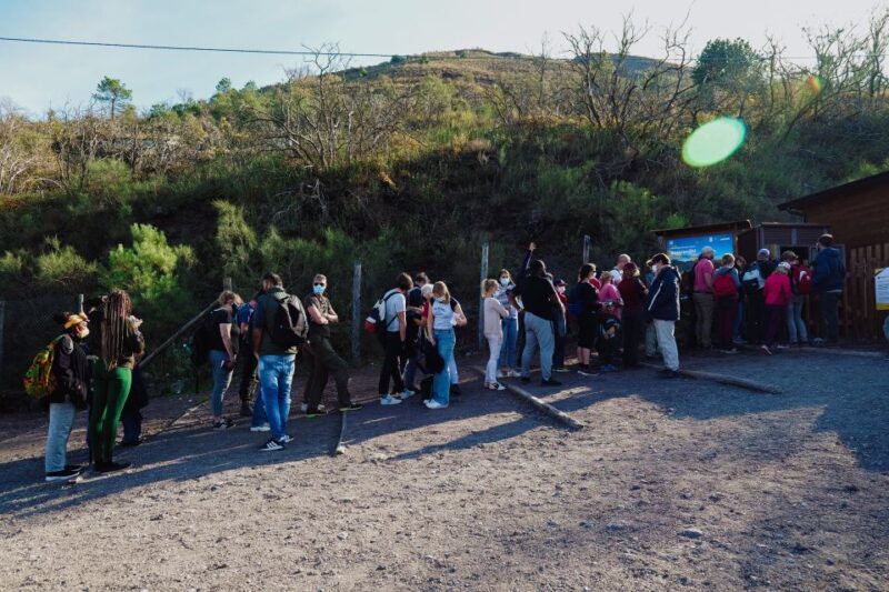 From Pompeii: Mount Vesuvius Guided Tour with Transfer - Who Is This Tour Best For?