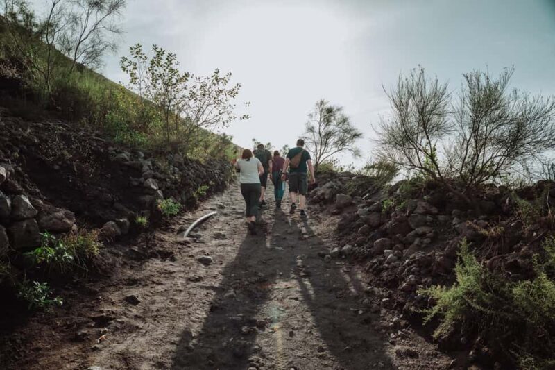 From Pompeii: Mount Vesuvius Guided Tour with Transfer - Final Thoughts